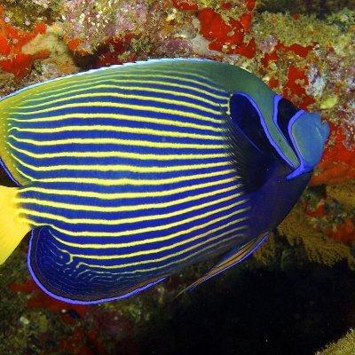 h9Jy1TBk2Vt21kp's profile picture. Женат.