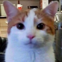 Sparcival (@roigarcia_) 's Twitter Profile