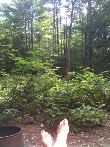 malikalze's profile picture. 