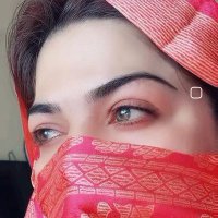 Abeera Yousufzai(@000iiiiguuyuyr) 's Twitter Profile Photo