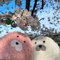 野ざらし日和【ゆるふわ日和】のハンドメイド (@nozarashi_art) Twitter profile photo