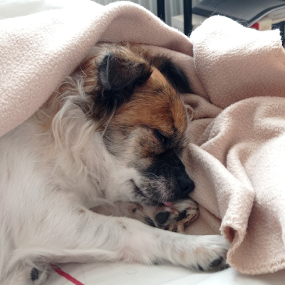 bigusoliwia's profile picture. 