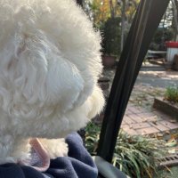 kiki_luv (@kiki_luv_mbb) 's Twitter Profile