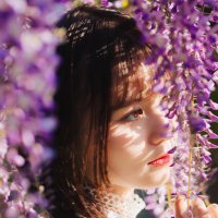 Rafu* (@skyblue_rafu) 's Twitter Profile Photo