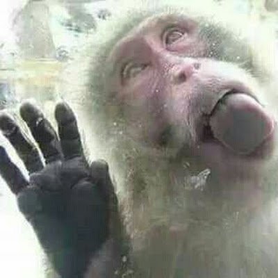 monkeymagic6974's profile picture. 