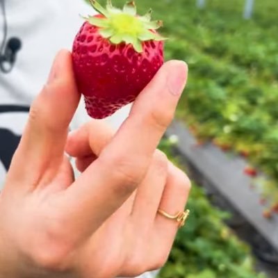 EightMeg's profile picture. IMP.💛💙,🫣→💜 滝歌舞から注目🤭/ ⛄️🌹/ 🐲💙/1年限定ヨコFCに入ってしまった😅🎸🎺🖤