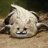 tumpalung555's profile image