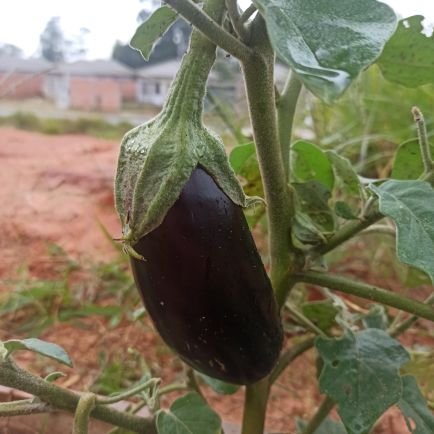 mundodoaderbal's profile picture. Procurando abismos para mergulhar