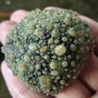 ふるみん (@tntn_kinkin) Twitter profile photo