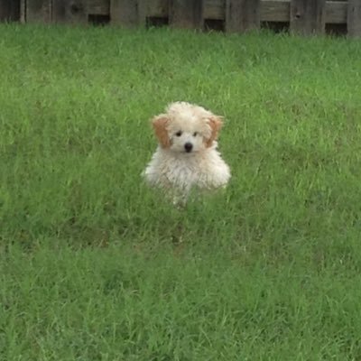 GhexBa's profile picture. 20↑ j(west)