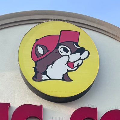 cchanxmama's profile picture. 2y0m&3mの姉妹ママ/低予算でおうち英語を頑張りたい！#中古DWE