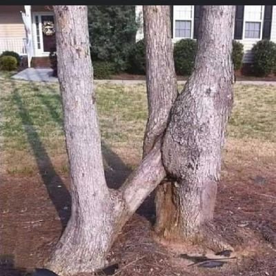 king69ps's profile picture. 