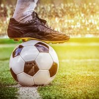UEFA 2024-25 Live Stream For Free (@socceritv) 's Twitter Profile