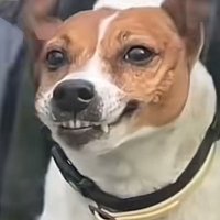 Family Friend (@familyfriendclt) 's Twitter Profile