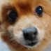 kumakuma (@kumakumak465376) Twitter profile photo kumakuma (@kumakumak465376) Twitter profile photo