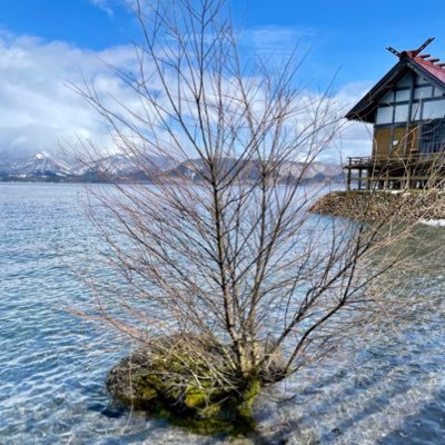 Kit_1887's profile picture. 数学科B2 / Wathematica / 都数 / 将来的には岩澤理論をやってみたい. 最近は, 代数的整数論とかやってます.