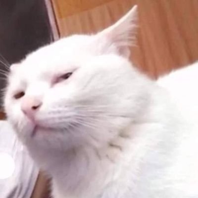 AvinashKangjam's profile picture. Just human being experiencing life