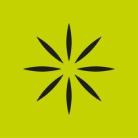 Orquestra del Miracle (@orqmiracle) 's Twitter Profile