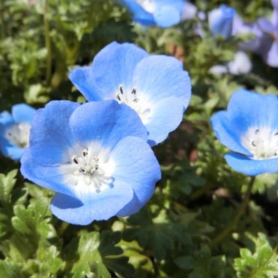 Ayaka_T810105's profile picture. IPU国際→社福 JB22