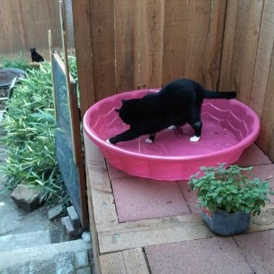 Aew1's profile picture. .