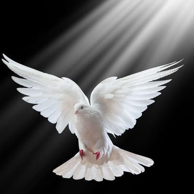 MarcelaMota72's profile picture. 