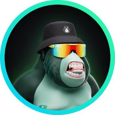 Burrito | Stronghold Profile