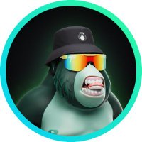 Burrito | Stronghold (@0x_burrito) 's Twitter Profile