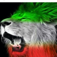 pepperoni (@enghelabdarooni) 's Twitter Profile Photo pepperoni (@enghelabdarooni) 's Twitter Profile Photo