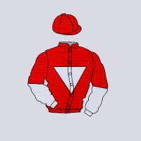 Rogues Gallery Racing (@roguesracing_) 's Twitter Profile
