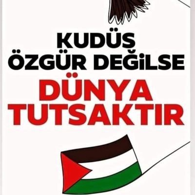 1f2l3z4a's profile picture. İçimdeki insan sevgisi.
MTO talebesi Elhamdülillah 🤲🏻🌹🤲🏻😊☝🏻🇹🇷🇵🇸🇹🇷☝🏻