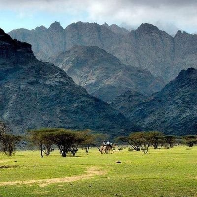 YahyaAbdullh5's profile picture. 