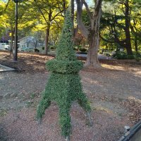 小手毬ブローチ遊び (@buttonhole52) 's Twitter Profile