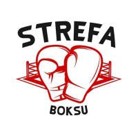 Kamil Dulski (@strefaboksu) 's Twitter Profile