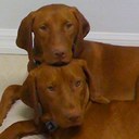 Stacy Walters - @bar10dr04 - Twitter