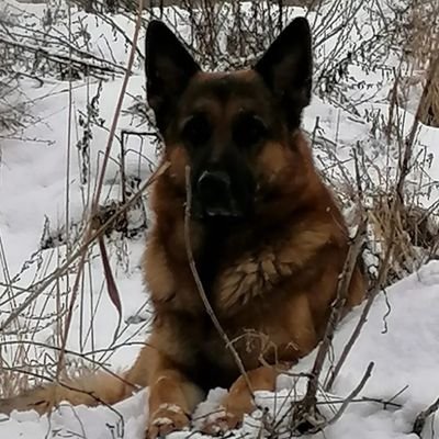 SERGO300177's profile picture. 