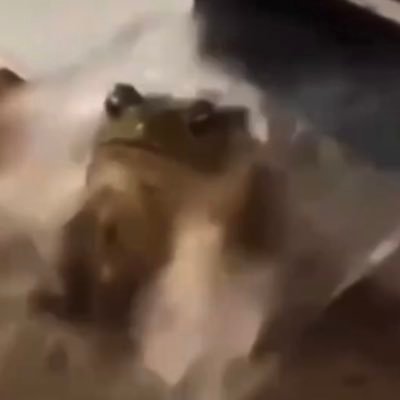 yosuke_tdu23_ec's profile picture. TDU23EC