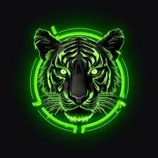 CryptoNole8's profile picture. 