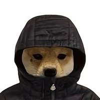 777FuckIlluminatiWorldwide (@fiwonsolana) 's Twitter Profile Photo 777FuckIlluminatiWorldwide (@fiwonsolana) 's Twitter Profile Photo