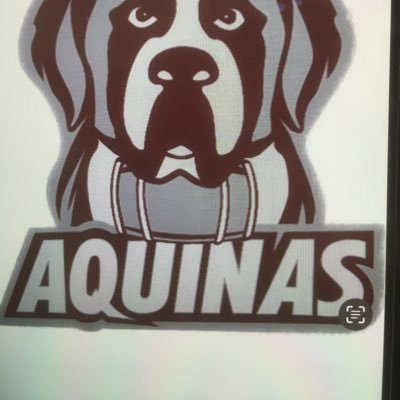 🏀 MBA GUAA 🏀West Michigan Spotlight LLC (Director/CEO)🏀AQ WBB🏀