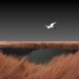 فيصل (@i9____99) Twitter profile photo فيصل (@i9____99) Twitter profile photo
