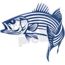 Striped Bass Fishing Guide on Lake Texoma.  Full time, CG Licensed Guide. Year round charters at The Striper Capital of the World
