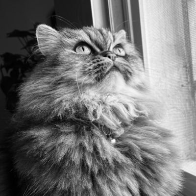 I_aba_a's profile picture. لا اختلط بهذا العالم ، يستهويني كِتاب ، قَهوة ، مَقهى مدينة شوارعها جميلة ، وفصل في السنة ، لايهمني كم اختلط بالناس يكفي أنني سعيدة بهذه الوِحده ...