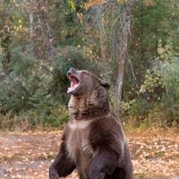 Arlan Peckham (@arlanpeckham) 's Twitter Profile Photo
