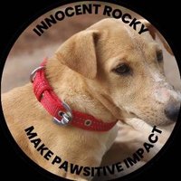 Innocent Rocky on Base(@Innocent_Rocky0) 's Twitter Profileg