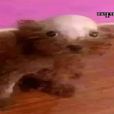 FlxmesWrather's profile picture. 