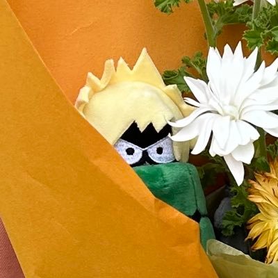 20↑/社会人/関東/爆豪勝己 プロカ必読ではありません◎