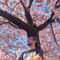 Rana Talha Asfar (@rtaluvzafridi) 's Twitter Profile Photo Rana Talha Asfar (@rtaluvzafridi) 's Twitter Profile Photo