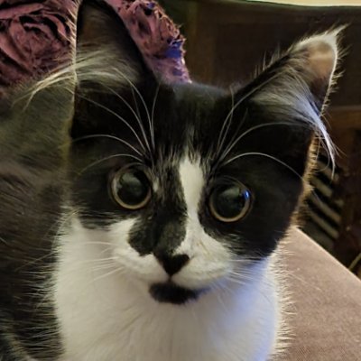 damianMickyd's profile picture. So aWOKE I think it's  1am  Corbyn Peace and Justice.