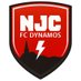 NJC FC Dynamos (@NJCFCDynamos) Twitter profile photo