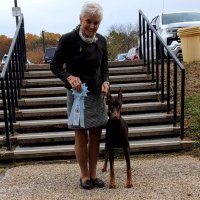 Marylyn DeGregorio (@surusma) 's Twitter Profile